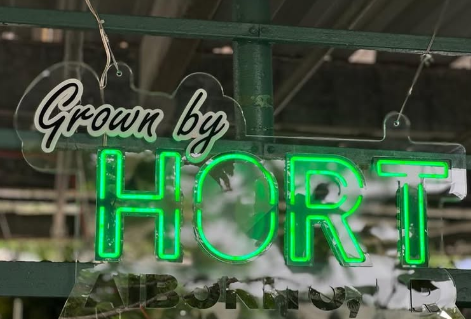 Screenshot 2025-11-20 094310